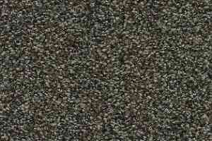 Ковролин AW Timeless 24 фото  | FLOORDEALER