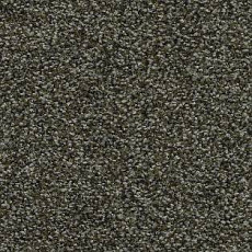 Ковролин AW Timeless 24 фото 1 | FLOORDEALER