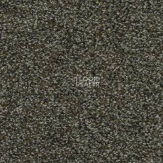 Ковролин AW Timeless 24 фото 1 | FLOORDEALER