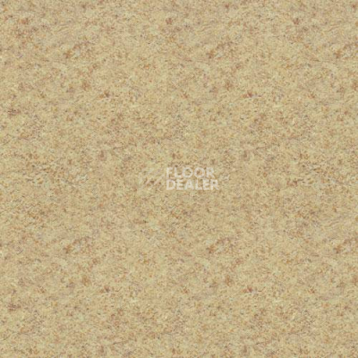 Линолеум Lg Delight DLT9102 фото 1 | FLOORDEALER