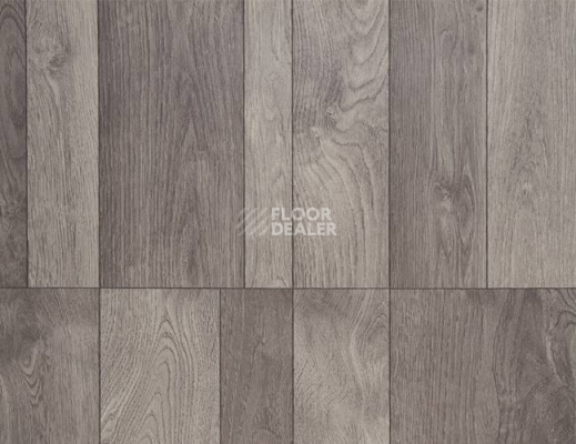 Линолеум Grabo Terrana 22 4316-256-4 фото 1 | FLOORDEALER