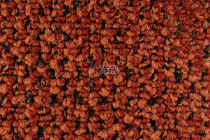 Balsan Take a Walk 540 Take a Walk фото 3 | FLOORDEALER