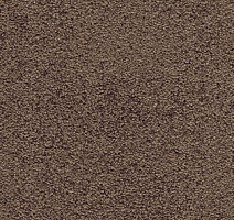 Ковролин AW Spirit 44 фото 1 | FLOORDEALER