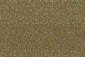 Ковровая плитка Interface Reprise Coll - Renew 338362 фото  | FLOORDEALER