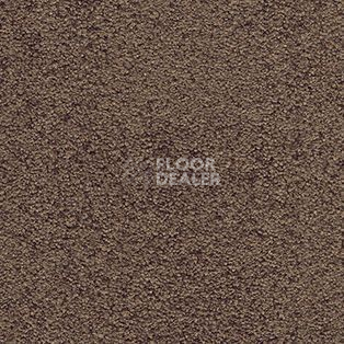 Ковролин AW Spirit 44 фото 1 | FLOORDEALER