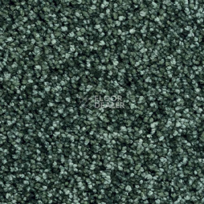 Ковролин Balsan Feelings 280 фото 1 | FLOORDEALER