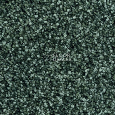 Ковролин Balsan Feelings 280 фото 1 | FLOORDEALER