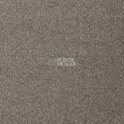 Ковролин AW Satisfaction 44 фото 1 | FLOORDEALER