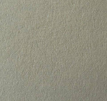 Ковролин Vorwerk Passion 1021 Vorwerk 6c11 фото 1 | FLOORDEALER