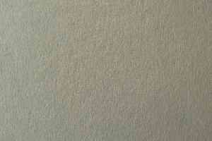 Ковролин Vorwerk Passion 1021 Vorwerk 6c11 фото  | FLOORDEALER