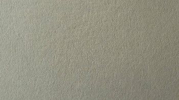 Ковролин Vorwerk Passion 1021 Vorwerk 6c11 фото 1 | FLOORDEALER