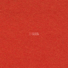 Finett Feinwerk 503506 фото 1 | FLOORDEALER