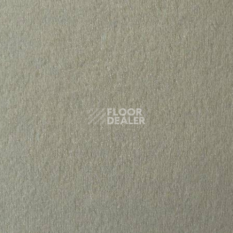 Ковролин Vorwerk Passion 1021 Vorwerk 6c11 фото 1 | FLOORDEALER