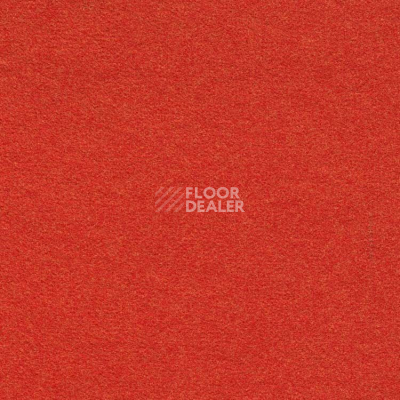 Ковролин Finett Feinwerk 503506 фото 1 | FLOORDEALER