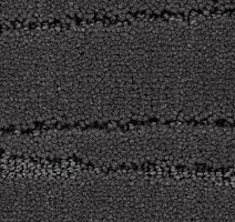 Ковролин Balsan Saigon 960 фото 1 | FLOORDEALER