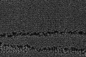 Ковролин Balsan Saigon 960 фото  | FLOORDEALER