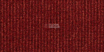 Ковролин Condor Carpets Pablo 210 фото 1 | FLOORDEALER