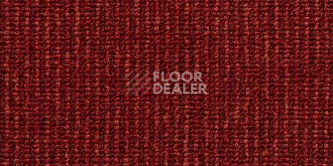 Ковролин Condor Carpets Pablo 210 фото 1 | FLOORDEALER