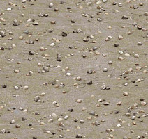 Ковролин Halbmond Pure Elements 13850 фото 1 | FLOORDEALER