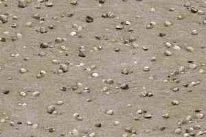 Ковролин Halbmond Pure Elements 13850 фото  | FLOORDEALER