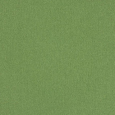 Ковровая плитка Interface Palette 2000 Apple фото 1 | FLOORDEALER
