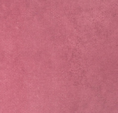 Линолеум Forbo Emerald Standart 72412 фото 1 | FLOORDEALER