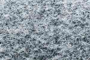 Ковролин Forbo Markant 11100 Smoke фото  | FLOORDEALER