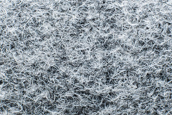 Ковролин Forbo Markant 11100 Smoke фото 1 | FLOORDEALER