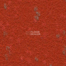 Ковролин Finett Vision Focus 505564 фото 1 | FLOORDEALER