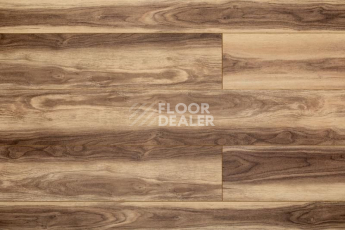 Кварцвиниловые полы Aquafloor Space Nuts XL AF4074NXL фото 1 | FLOORDEALER