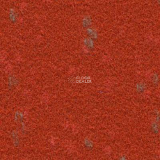 Finett Vision Focus 505564 фото 1 | FLOORDEALER