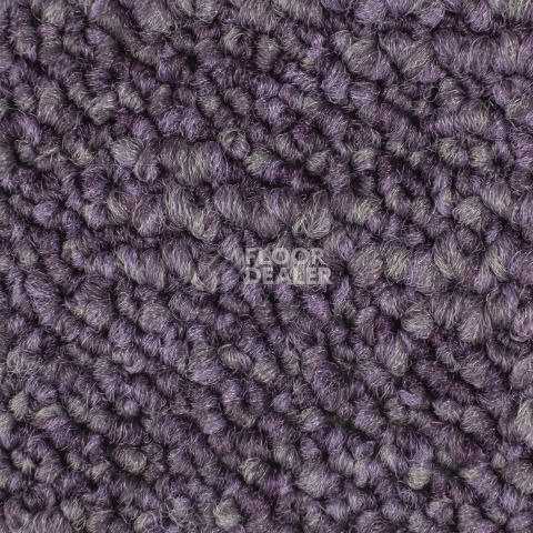 Desso Desert 3822 фото 2 | FLOORDEALER