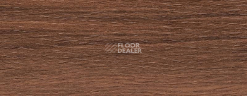 Плинтус Dollken EP 60/13 2616 фото 2 | FLOORDEALER