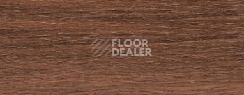 Плинтус Dollken EP 60/13 2616 фото 2 | FLOORDEALER