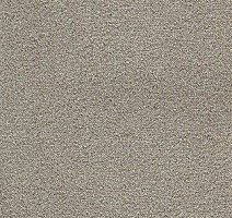 Ковролин AW Confidence 49 фото 1 | FLOORDEALER