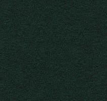 Ковролин Finett Feinwerk 603510 фото 1 | FLOORDEALER