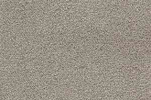 Ковролин AW Confidence 49 фото  | FLOORDEALER