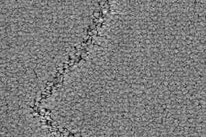 Ковролин Balsan Prestige 920 фото  | FLOORDEALER