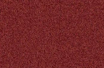 Ковролин Vorwerk Viola 1l48 фото 1 | FLOORDEALER