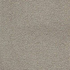 Ковролин AW Confidence 49 фото 1 | FLOORDEALER