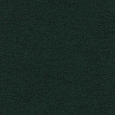 Ковролин Finett Feinwerk 603510 фото 1 | FLOORDEALER