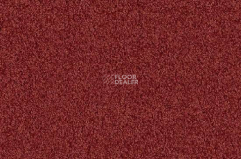 Ковролин Vorwerk Viola 1l48 фото 1 | FLOORDEALER