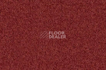 Ковролин Vorwerk Viola 1l48 фото 1 | FLOORDEALER
