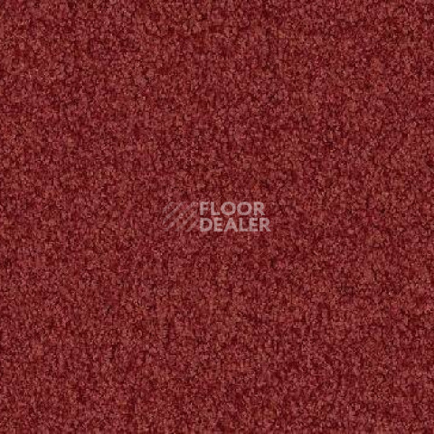 Ковролин Vorwerk Viola 1l48 фото 1 | FLOORDEALER