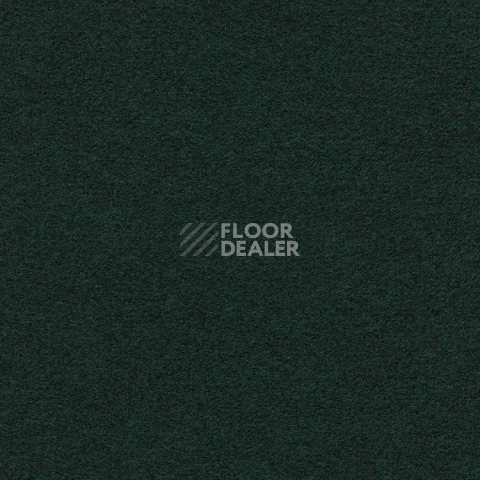 Ковролин Finett Feinwerk 603510 фото 1 | FLOORDEALER