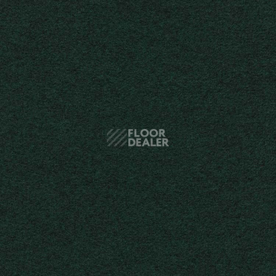 Ковролин Finett Feinwerk 603510 фото 1 | FLOORDEALER