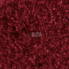 Ковролин AW Masquerade Certosa 12 фото 1 | FLOORDEALER