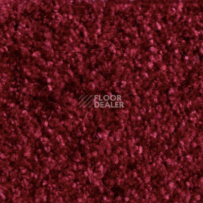 Ковролин AW Masquerade Certosa 12 фото 1 | FLOORDEALER