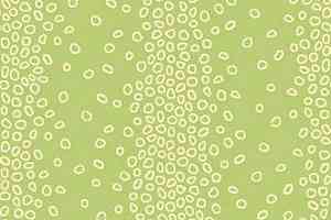 Ковролин Halbmond Step by Step 2 27917 фото  | FLOORDEALER