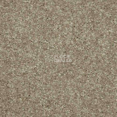 Ковролин AW Masquerade Gala 33 фото 1 | FLOORDEALER